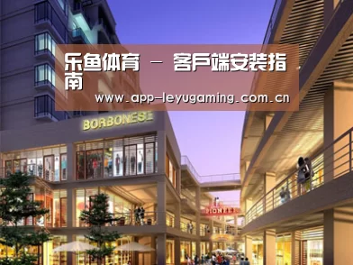 案例展示一(图1)