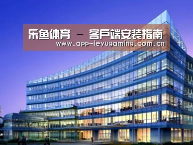 案例展示五