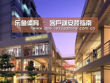 案例展示一