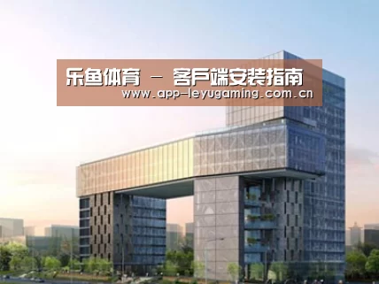 案例展示四