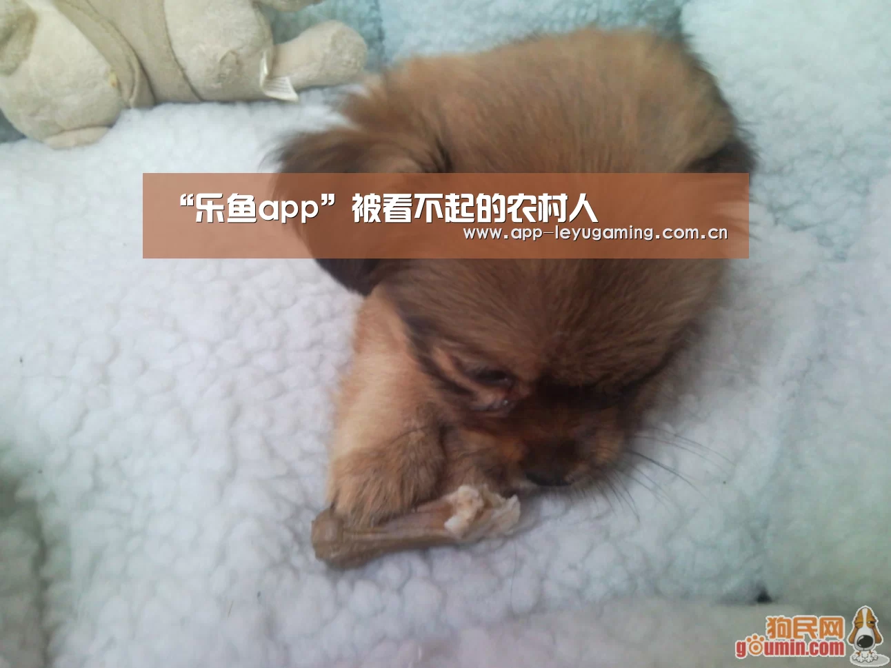 “乐鱼app”被看不起的农村人(图2) 乐鱼体育