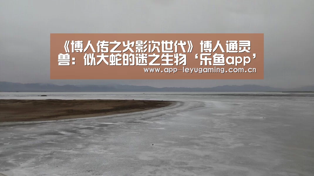 乐鱼体育